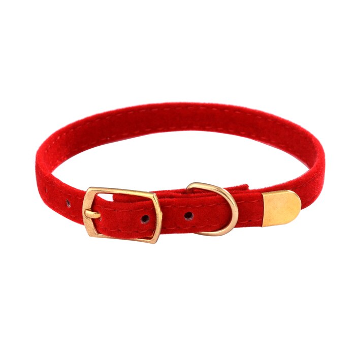 Collier de sécurité floqué pour chat - universmiaou