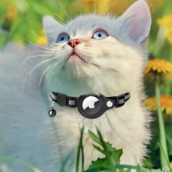 Collier anti-étranglement avec cloche pour chat - universmiaou