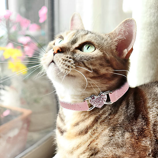 Collier de chat à breloque en forme de cœur et cloche - universmiaou