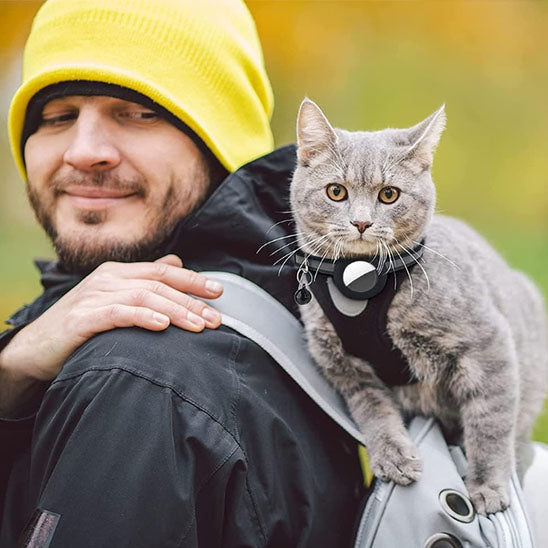 Collier anti-étranglement avec cloche pour chat - universmiaou
