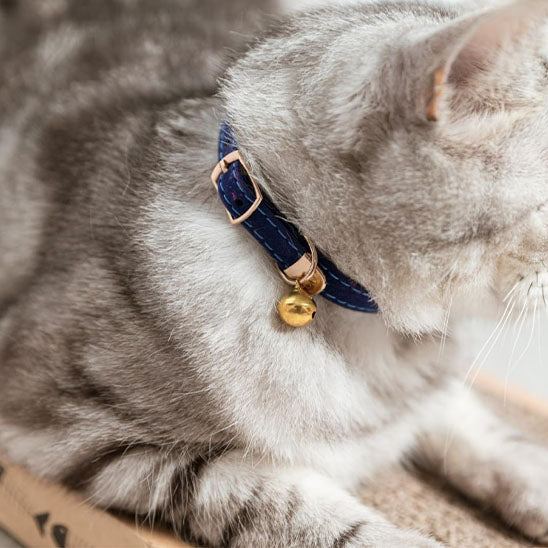 Collier de sécurité floqué pour chat - universmiaou
