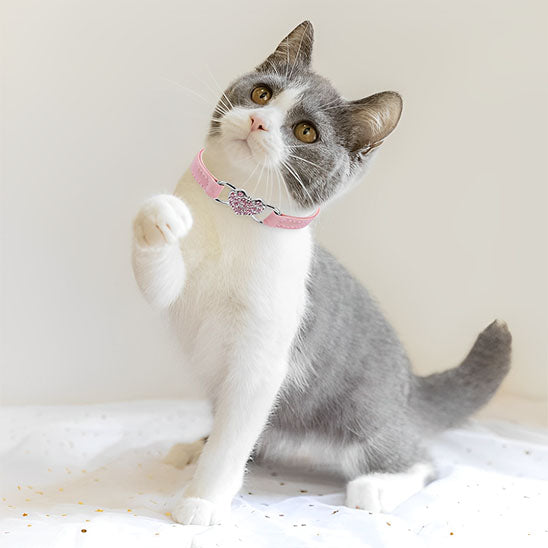 Collier de chat à breloque en forme de cœur et cloche - universmiaou