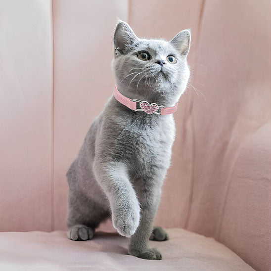 Collier de chat à breloque en forme de cœur et cloche - universmiaou