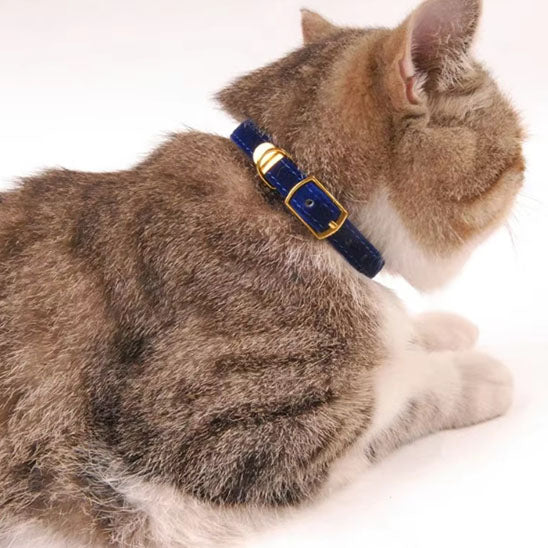 Collier de sécurité floqué pour chat - universmiaou
