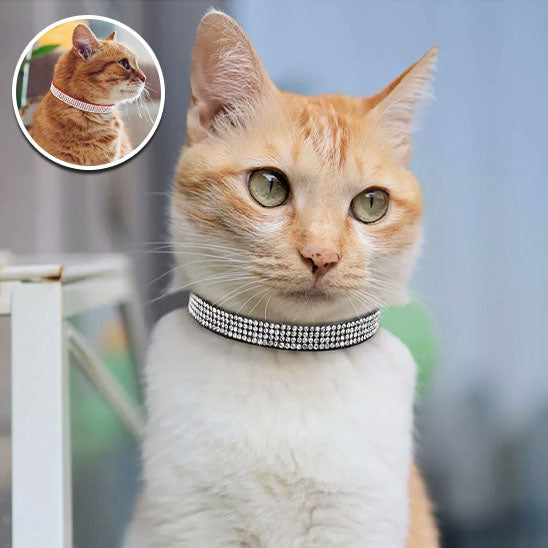 Collier réglable avec strass étincelants de petite taille - universmiaou