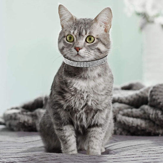 Collier réglable avec strass étincelants de petite taille - universmiaou