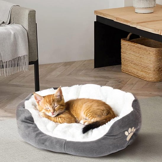 Coussin pour Chat - universmiaou