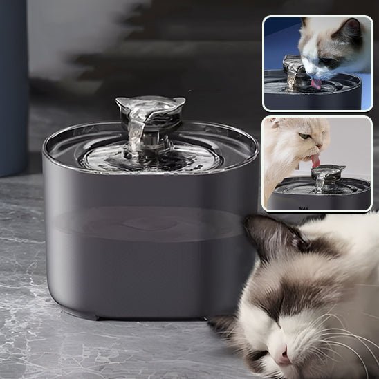 Fontaine à eau à chat - universmiaou