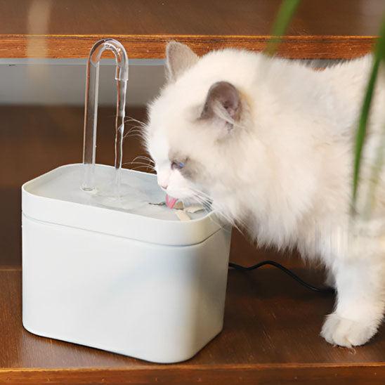 Fontaine à Eau pour Chat, Ultra Silencieuse - universmiaou