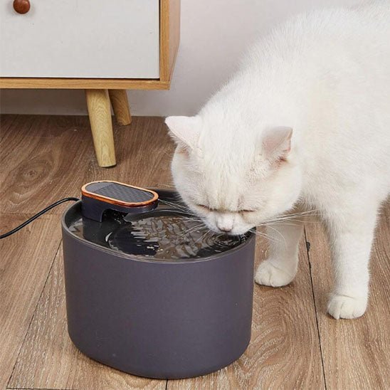 Fontaine d'eau pour chats - universmiaou