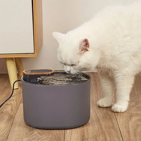 Fontaine d'eau pour chats - universmiaou