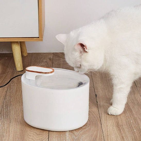 Fontaine d'eau pour chats - universmiaou