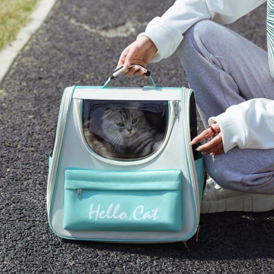 sac de voyage chat - universmiaou