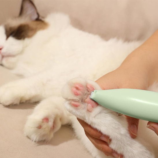 Tondeuse électrique à chat - universmiaou