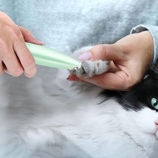 Tondeuse électrique à chat - universmiaou