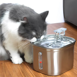 Pourquoi une fontaine à eau est essentielle pour la santé de votre chat ?