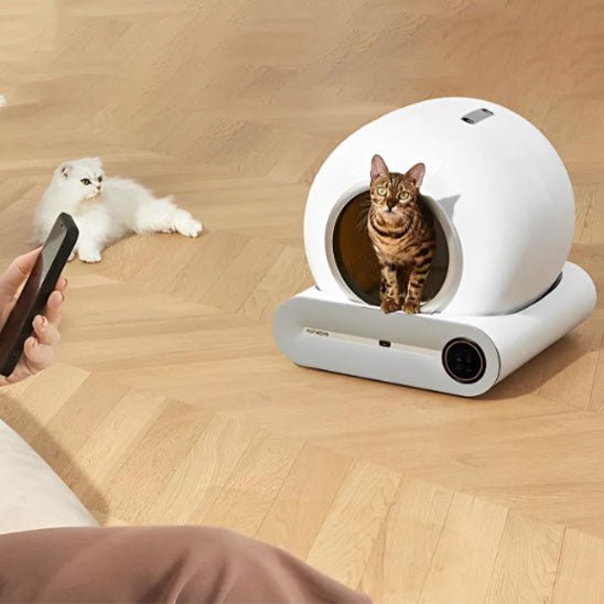 Bac à litière intelligent automatique pour chat - universmiaou