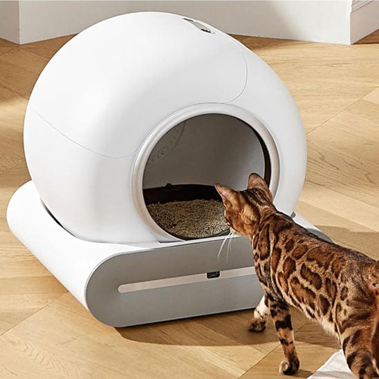 Bac à litière intelligent automatique pour chat - universmiaou