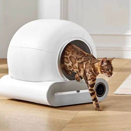Bac à litière intelligent automatique pour chat - universmiaou