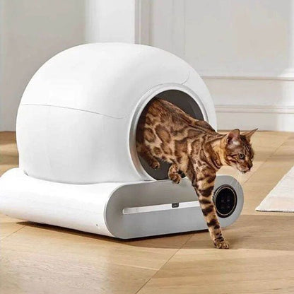 Bac à litière intelligent automatique pour chat - universmiaou