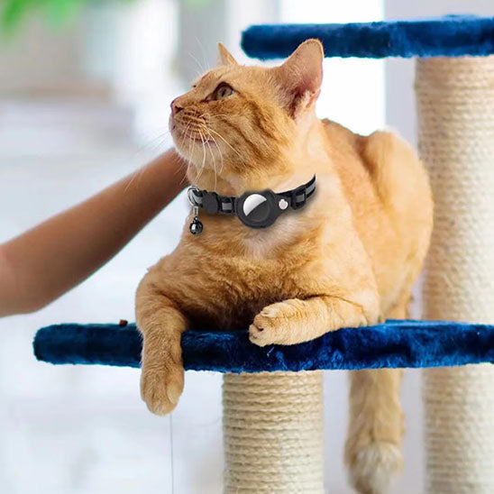 Collier anti-étranglement avec cloche pour chat - universmiaou