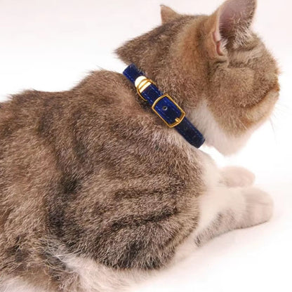 Collier de sécurité floqué pour chat - universmiaou