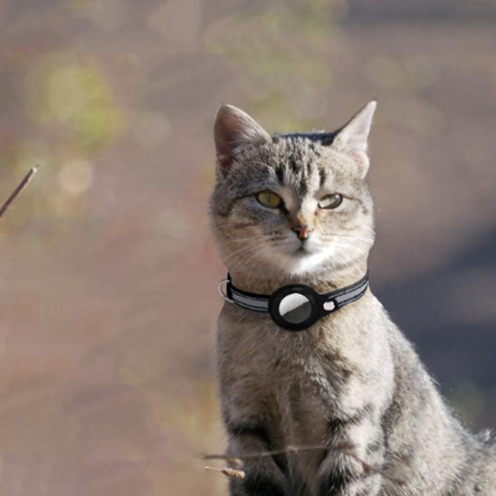 Collier anti-étranglement avec cloche pour chat - universmiaou