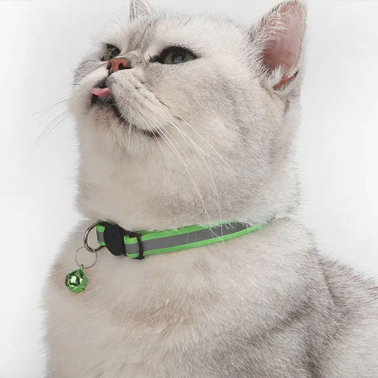 Collier réfléchissant pour chat avec cloche - universmiaou