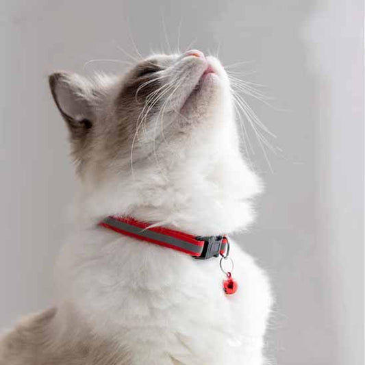 Collier réfléchissant réglable pour chat - universmiaou