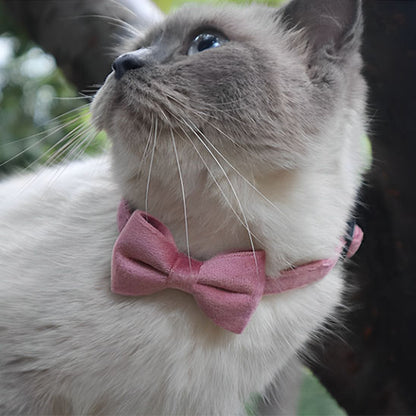 Collier velours en nœud pour chat - universmiaou