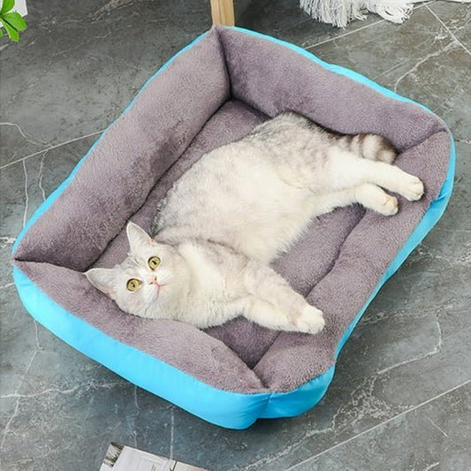 Coussin chat - universmiaou