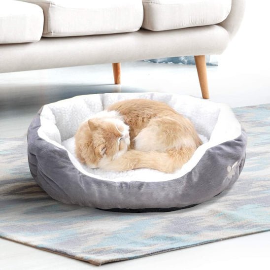 Coussin pour Chat - universmiaou