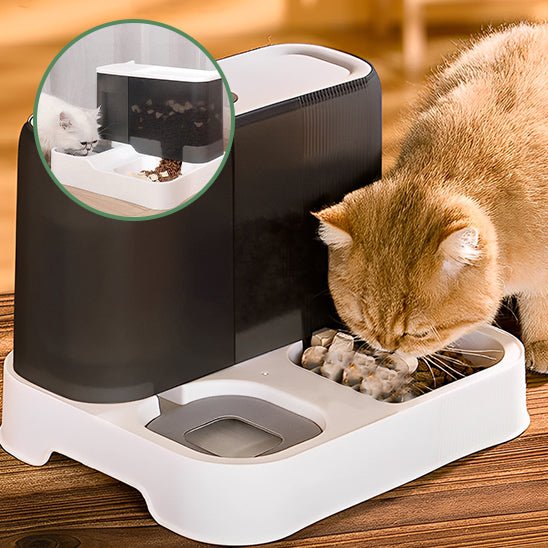 Distributeur automatique avec gamelle d'eau et de croquettes - universmiaou