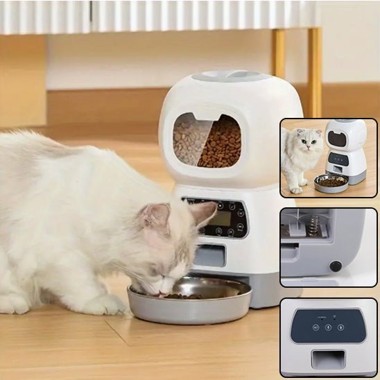 distributeur automatique croquettes chat - universmiaou