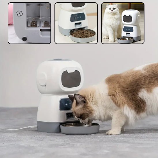 distributeur automatique croquettes chat - universmiaou