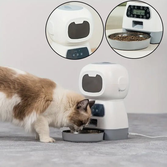 distributeur automatique croquettes chat - universmiaou