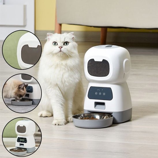 distributeur automatique croquettes chat - universmiaou