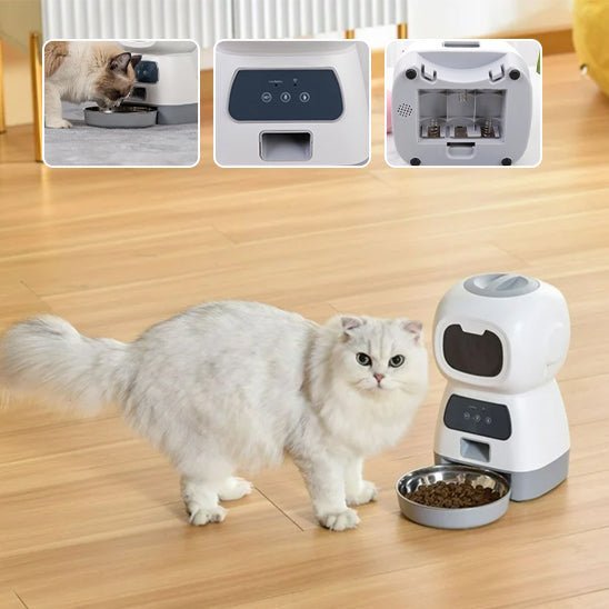distributeur automatique croquettes chat - universmiaou