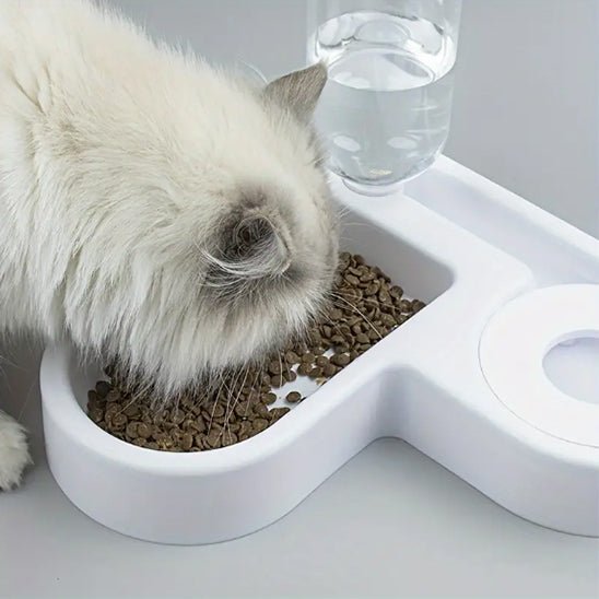 distributeur automatique croquettes chat - universmiaou