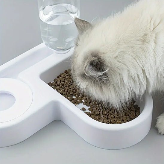 distributeur automatique croquettes chat - universmiaou