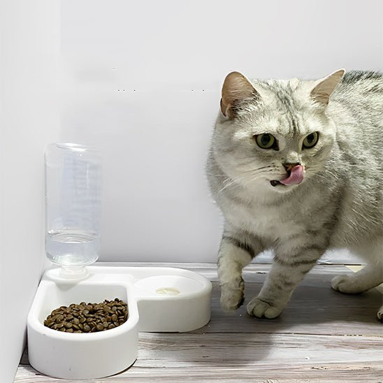 distributeur automatique croquettes chat - universmiaou
