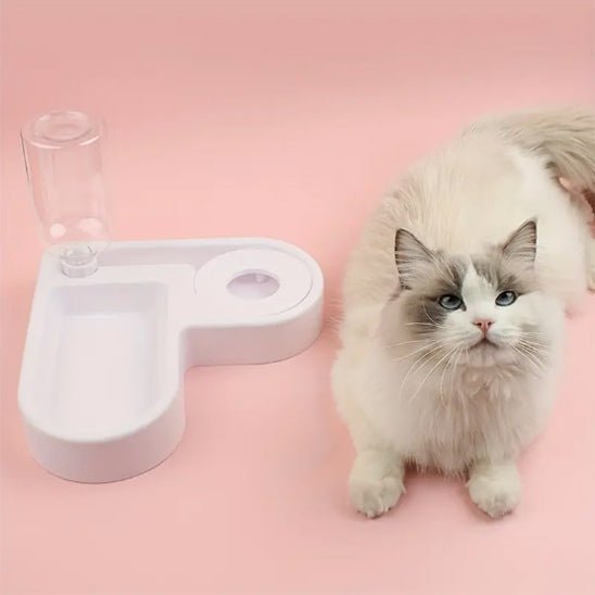 distributeur automatique croquettes chat - universmiaou