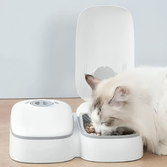 Distributeur automatique de croquettes pour chats avec minuterie - universmiaou