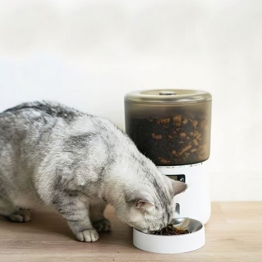 Distributeur de croquettes pour chat avec contrôle intelligent - universmiaou