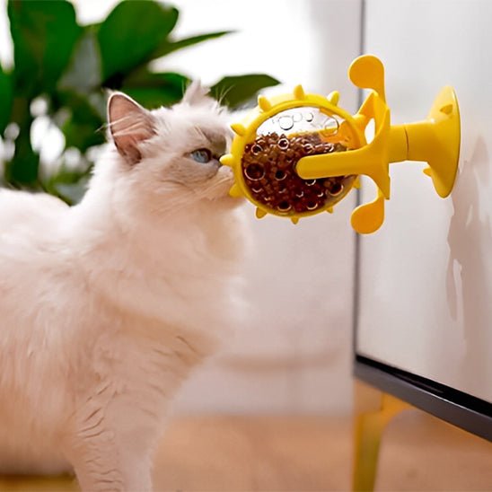Distributeur interactif de croquettes pour chat - universmiaou