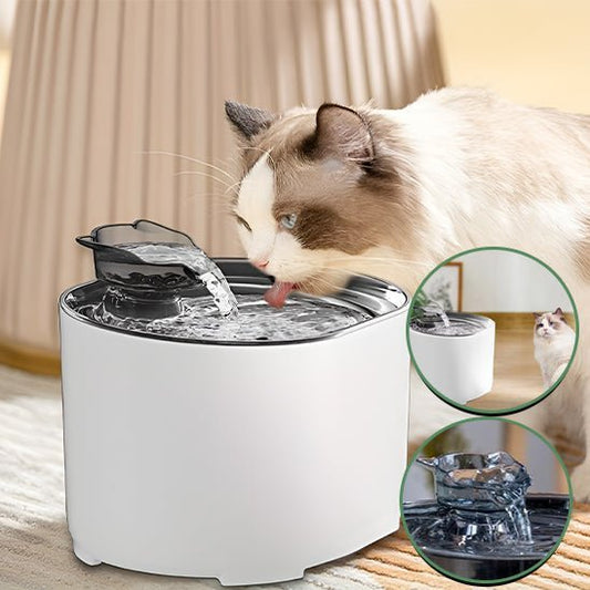 Fontaine à eau à chat - universmiaou