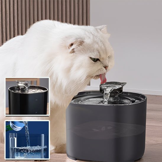 Fontaine à eau à chat - universmiaou