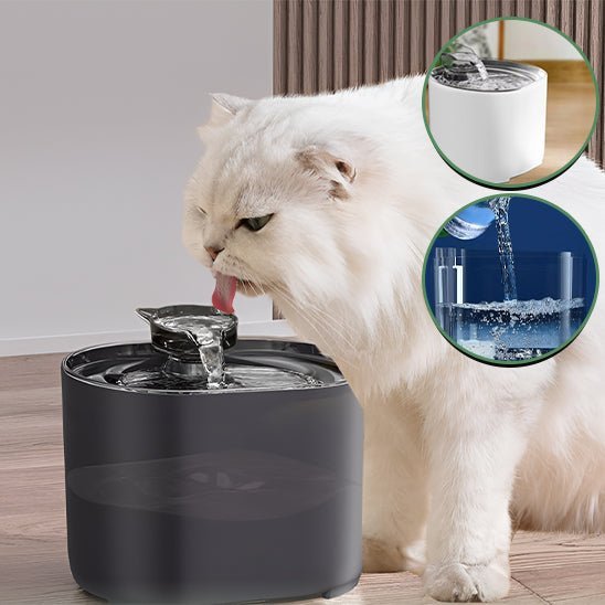 Fontaine à eau à chat - universmiaou