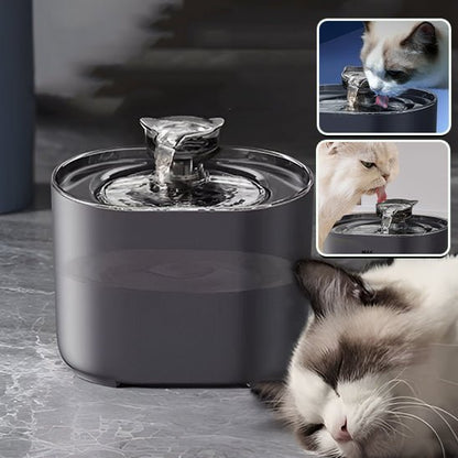 Fontaine à eau à chat - universmiaou