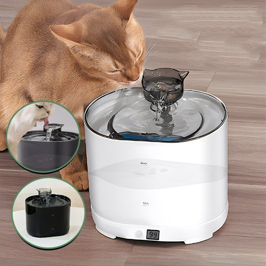Fontaine à eau à chat - universmiaou